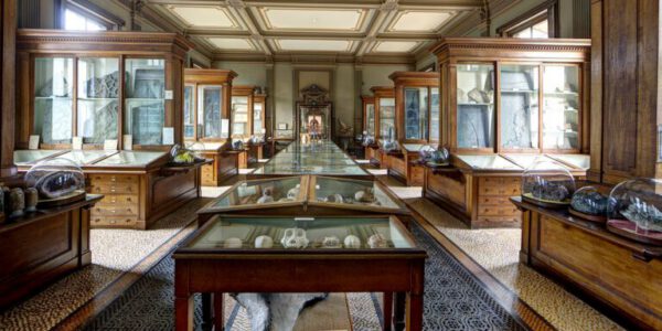 Teylers Museum